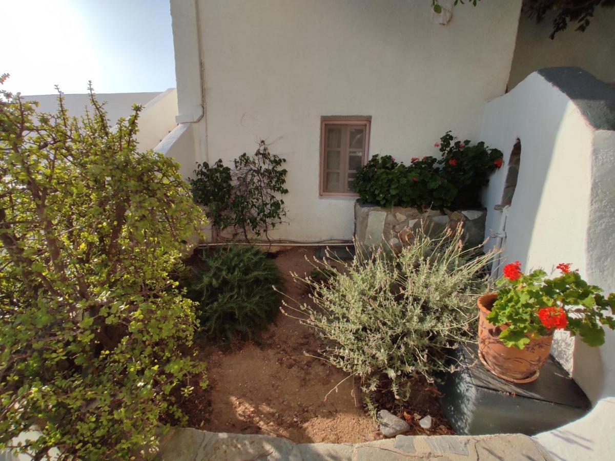 Porto Sikinos Hotel Alopronia Dış mekan fotoğraf